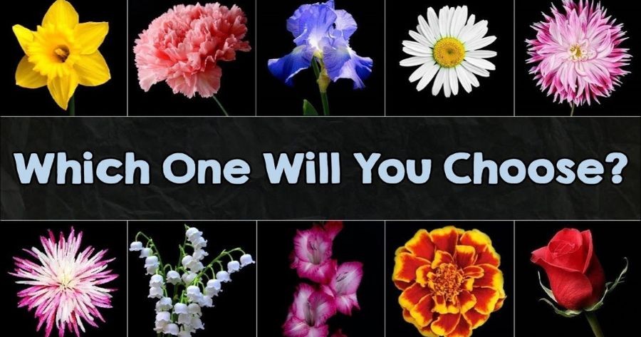 Discover Your Career Path Based On Your Flower Choices.