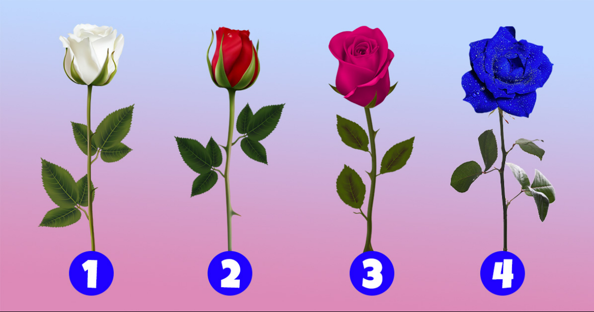 Qual flor combina com sua personalidade?