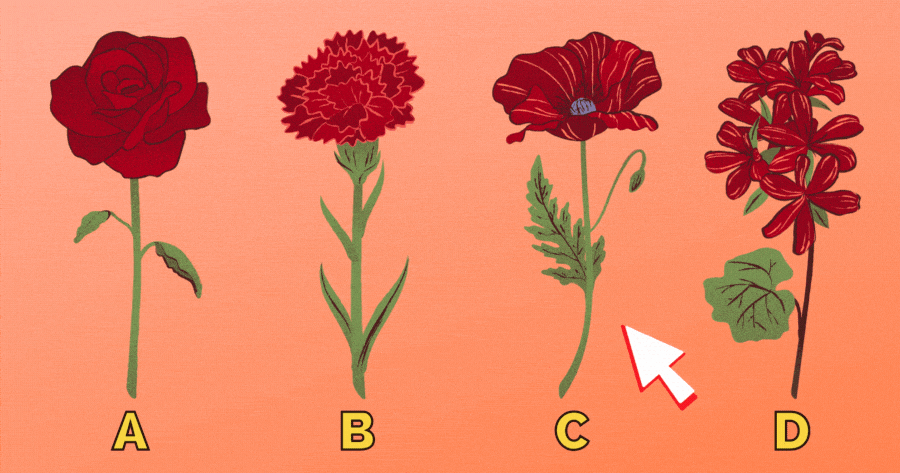 El Test De Personalidad De La Flor: Encuentra La Que Combine Mejor Contigo